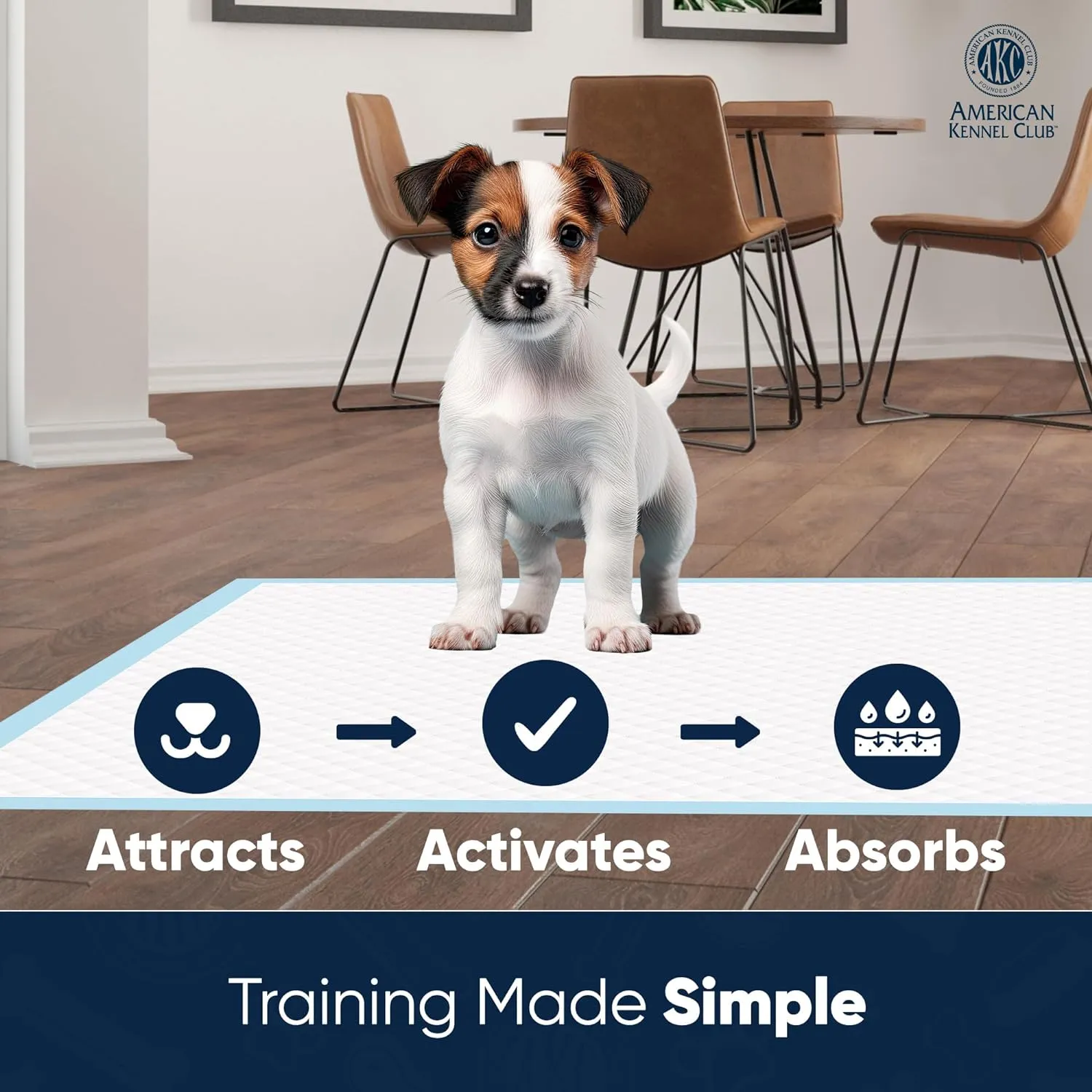 American Kennel Club ,  28 x 30     100