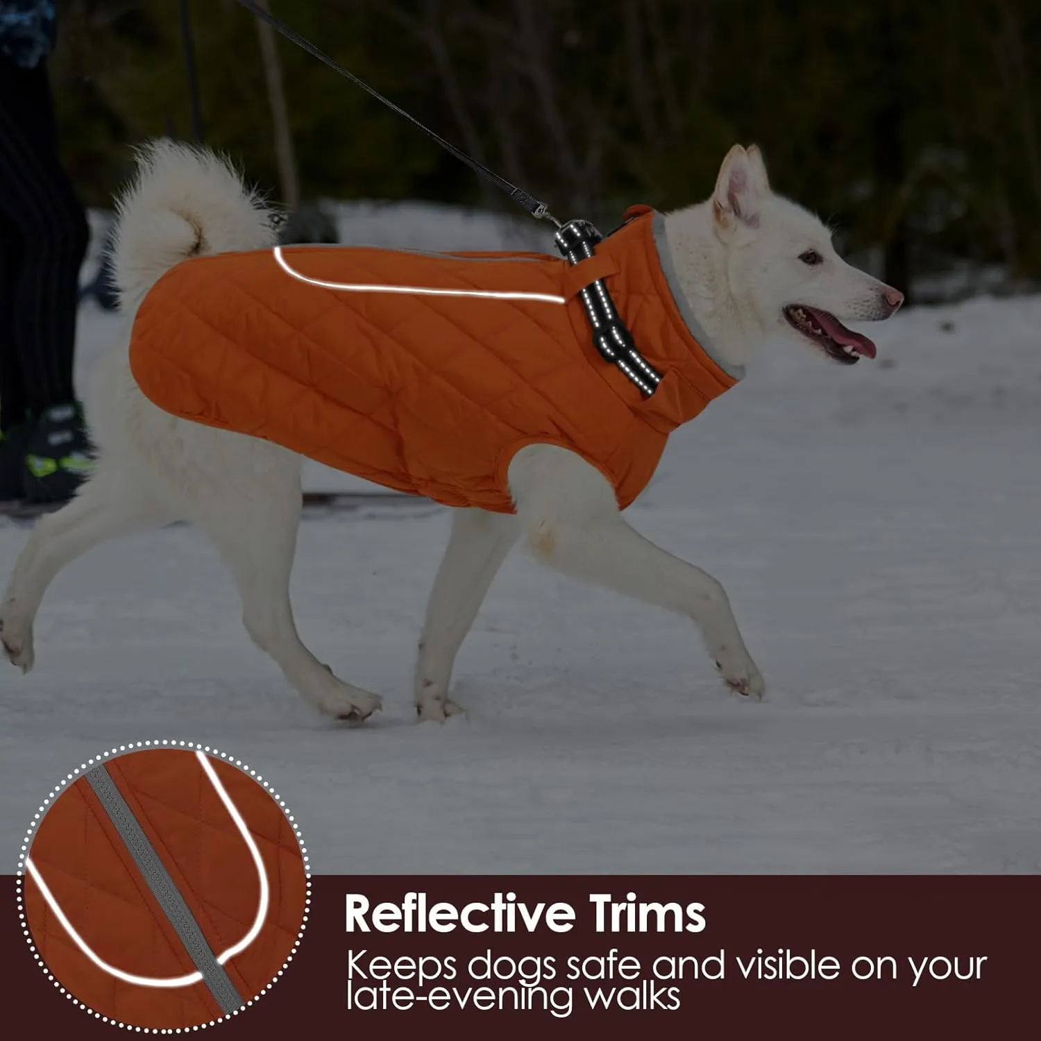 AOFITEE Large Dog Winter Jacket - Waterproof Puffer Coat for French Bulldog