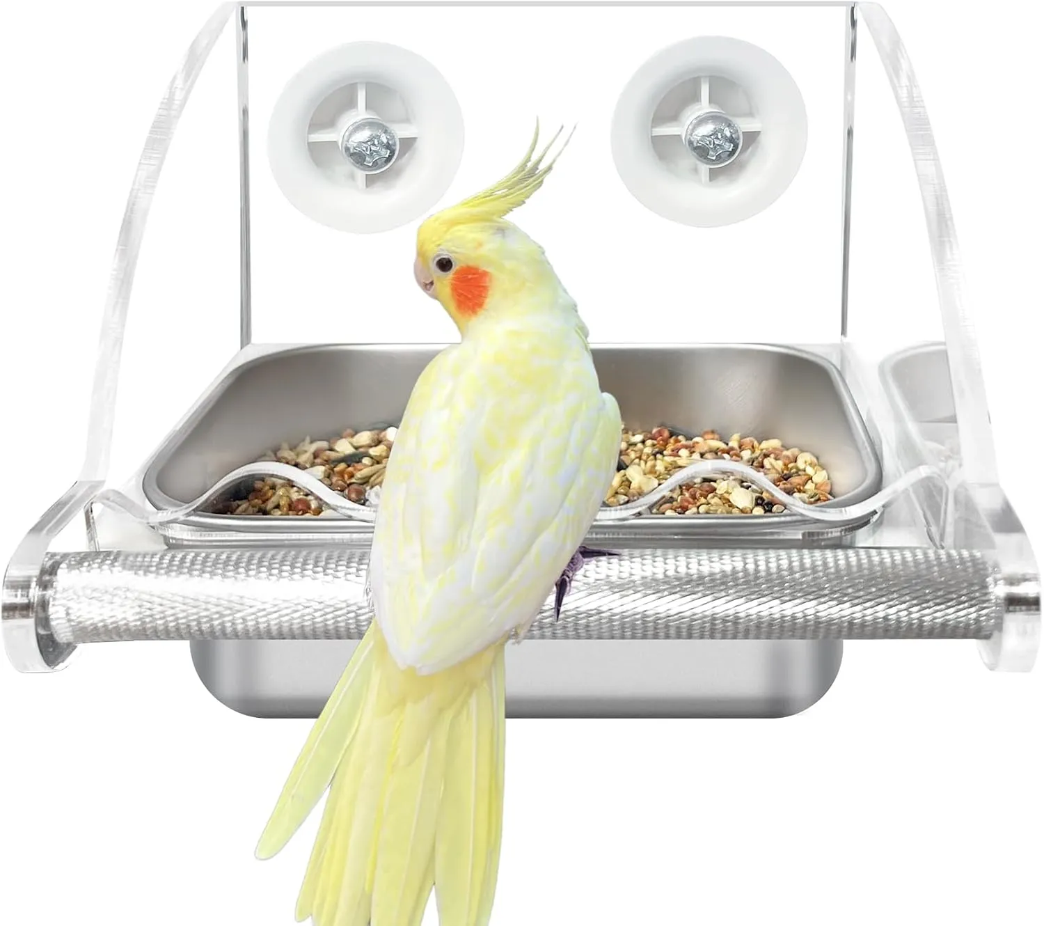 Bird Feeder for Cage,Transparent Bird Feeders, Bird Feeder with Anti-Slip Stand, Stainless Steel Bird Bowls Parakeet Feeder,for Parakeet, Psittacus Erithacus, Lovebirds,Budgies, Transparency