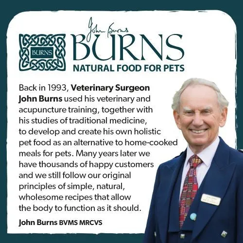 Burns Original with Chicken Puppy Food 6kg