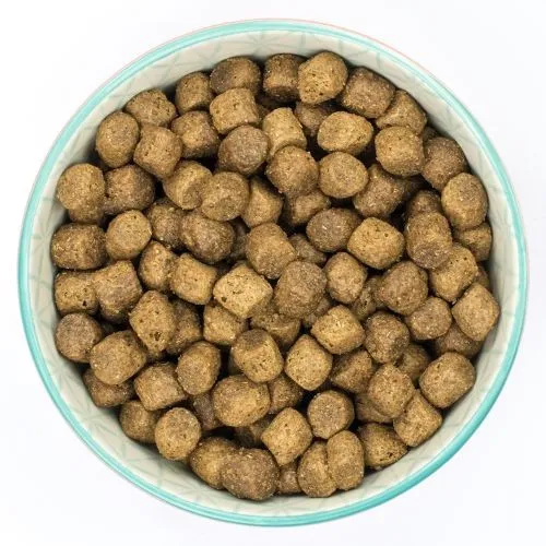 Burns Original with Chicken Puppy Food 6kg