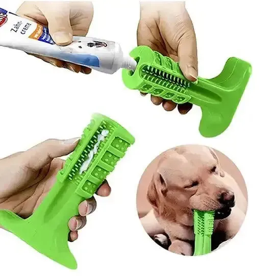 Chewable toothbrush for pets