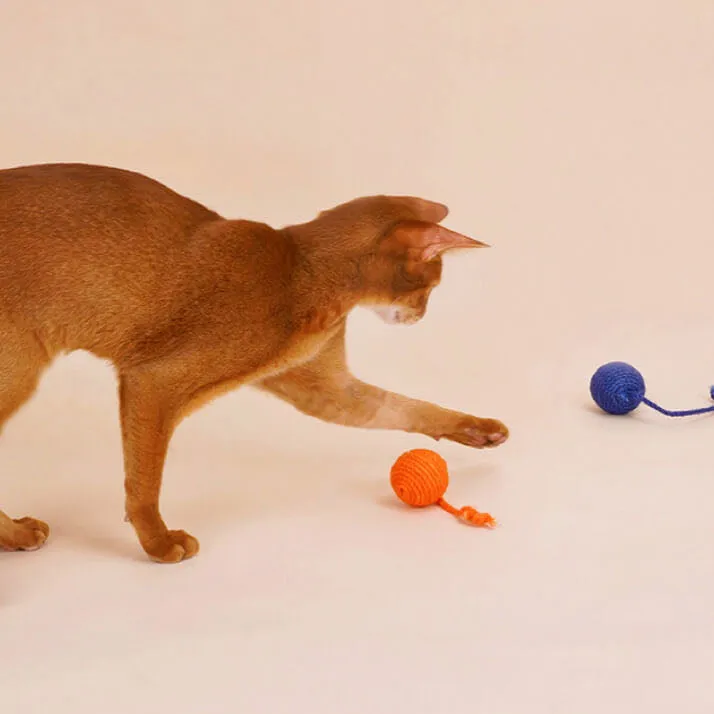 Colourful Sisal Rope Balls Set Cat Toy