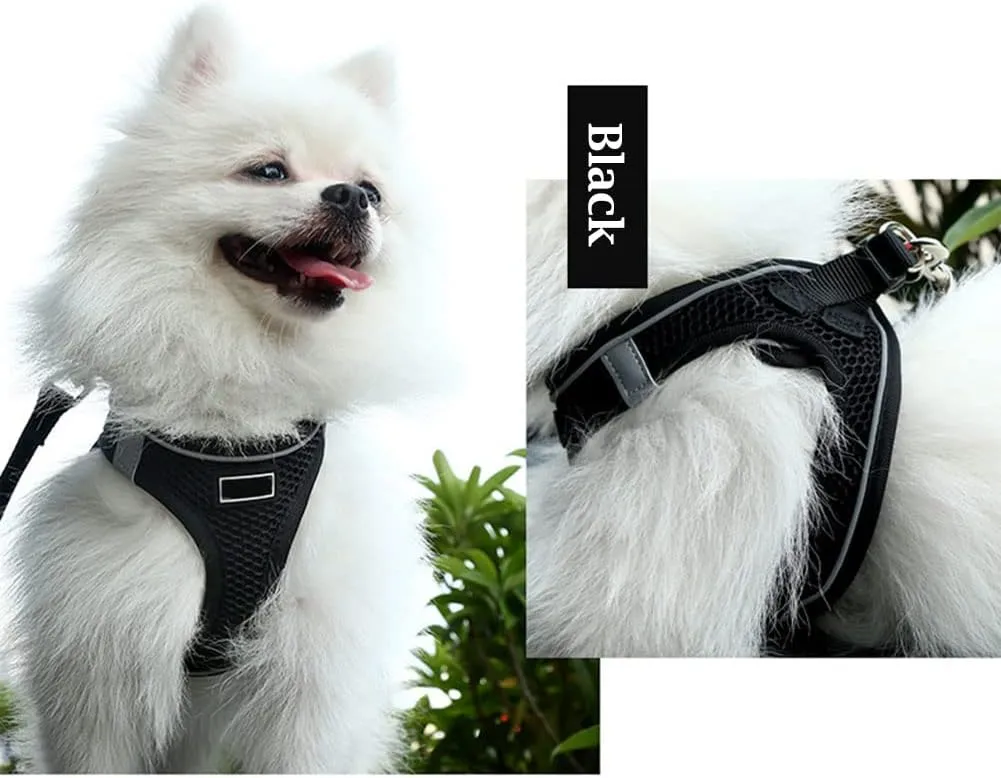 Dog Harness and Leash Set for Walking, Breathable Lightweight Soft Mesh Step-in Puppy Cat Dog Vest Harnesses, Reflective & Adjustable Harness Escape Proof for Small Medium Dogs Cats