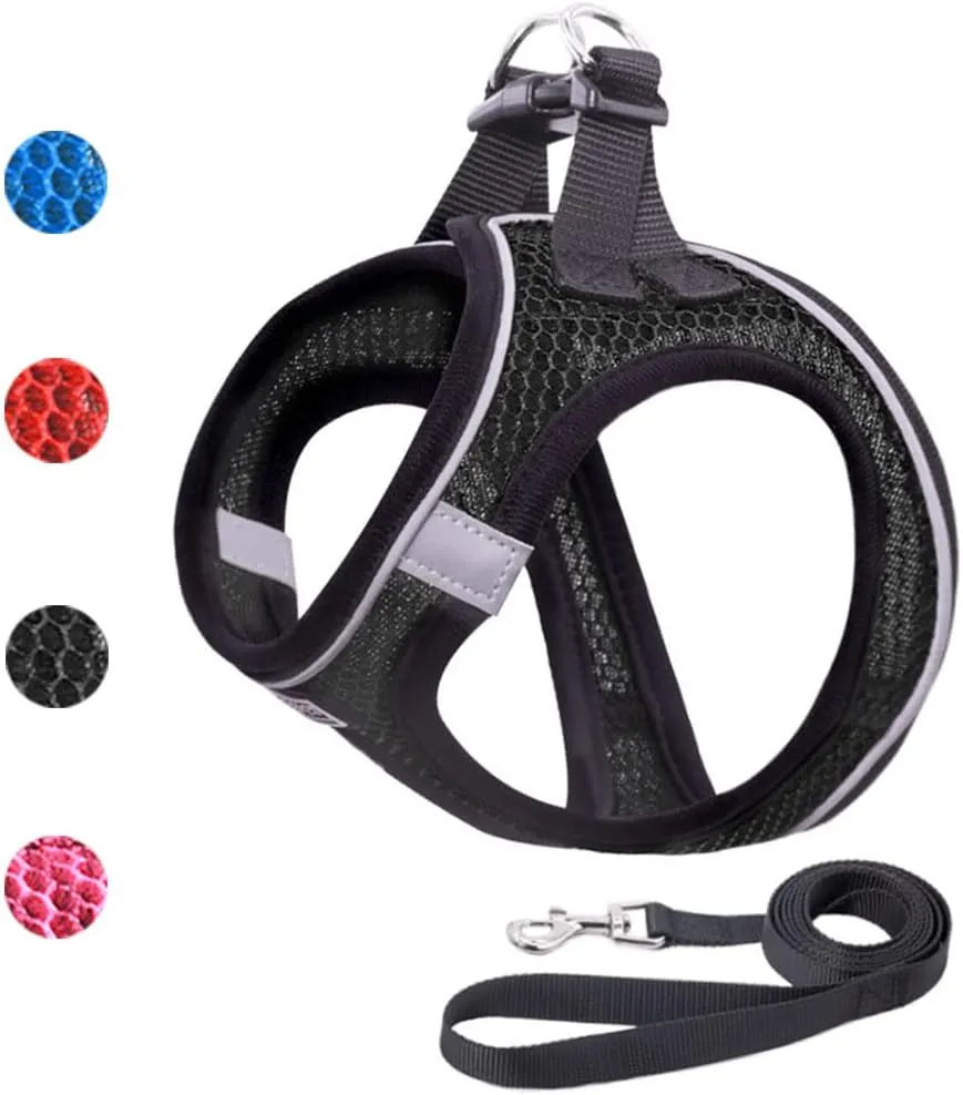 Dog Harness and Leash Set for Walking, Breathable Lightweight Soft Mesh Step-in Puppy Cat Dog Vest Harnesses, Reflective & Adjustable Harness Escape Proof for Small Medium Dogs Cats