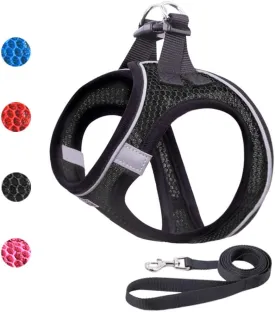 Dog Harness and Leash Set for Walking, Breathable Lightweight Soft Mesh Step-in Puppy Cat Dog Vest Harnesses, Reflective & Adjustable Harness Escape Proof for Small Medium Dogs Cats