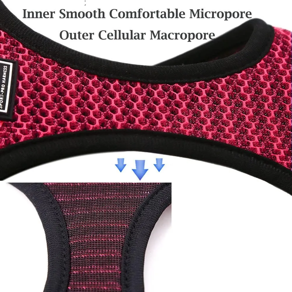 Dog Harness and Leash Set for Walking, Breathable Lightweight Soft Mesh Step-in Puppy Cat Dog Vest Harnesses, Reflective & Adjustable Harness Escape Proof for Small Medium Dogs Cats