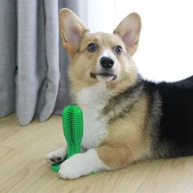 Dog Toothbrush Chew Toy