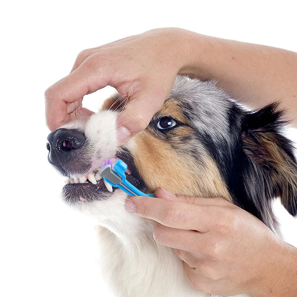 Dog Toothbrush