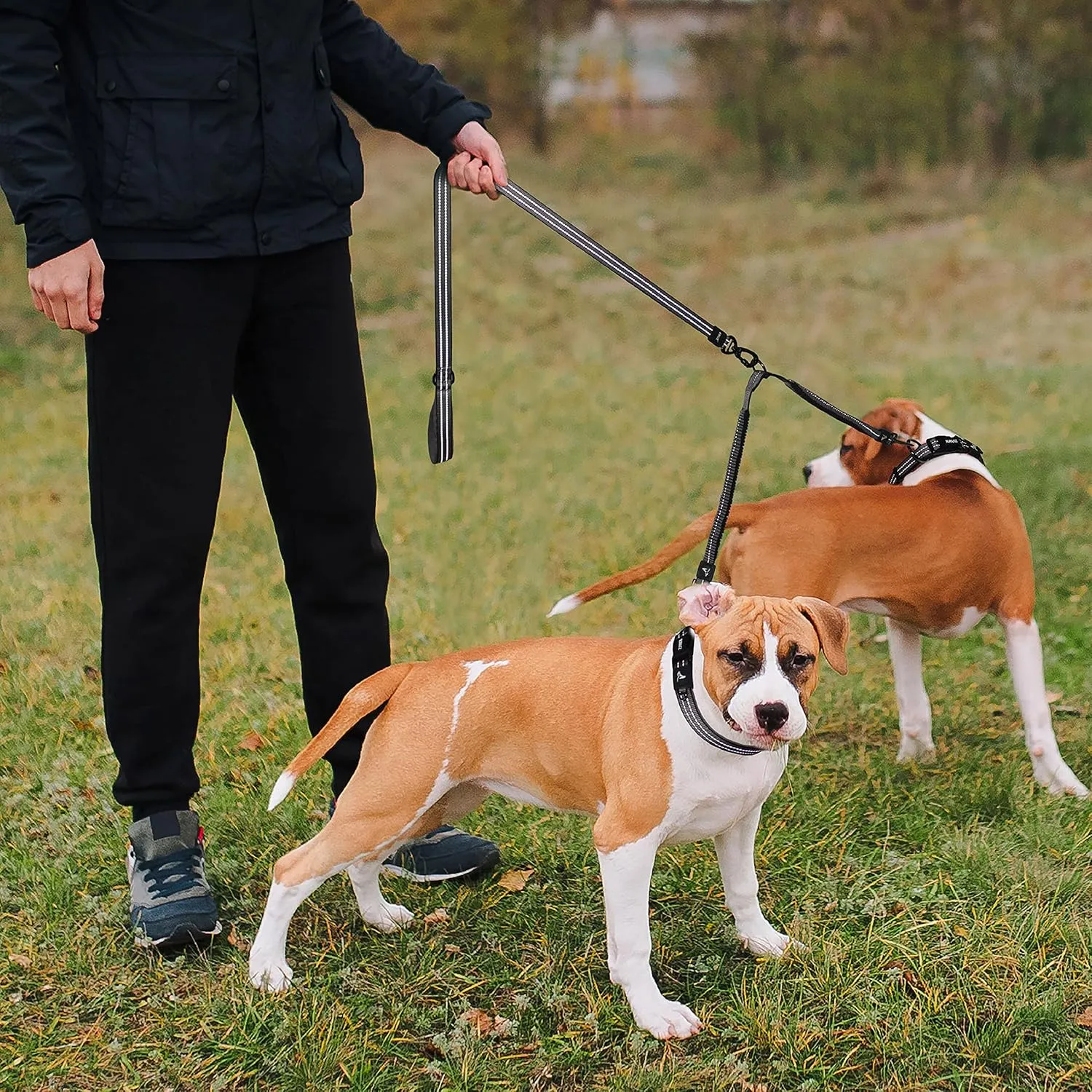 Kruz Double Dog Coupler - KZVX2-03S - Tangle Free Dog Walking and Training Dual Extension Coupler - Comfortable, Shock Absorbing - Reflective Bungee Coupler for Two Dogs - Red - 5/8" x 14"