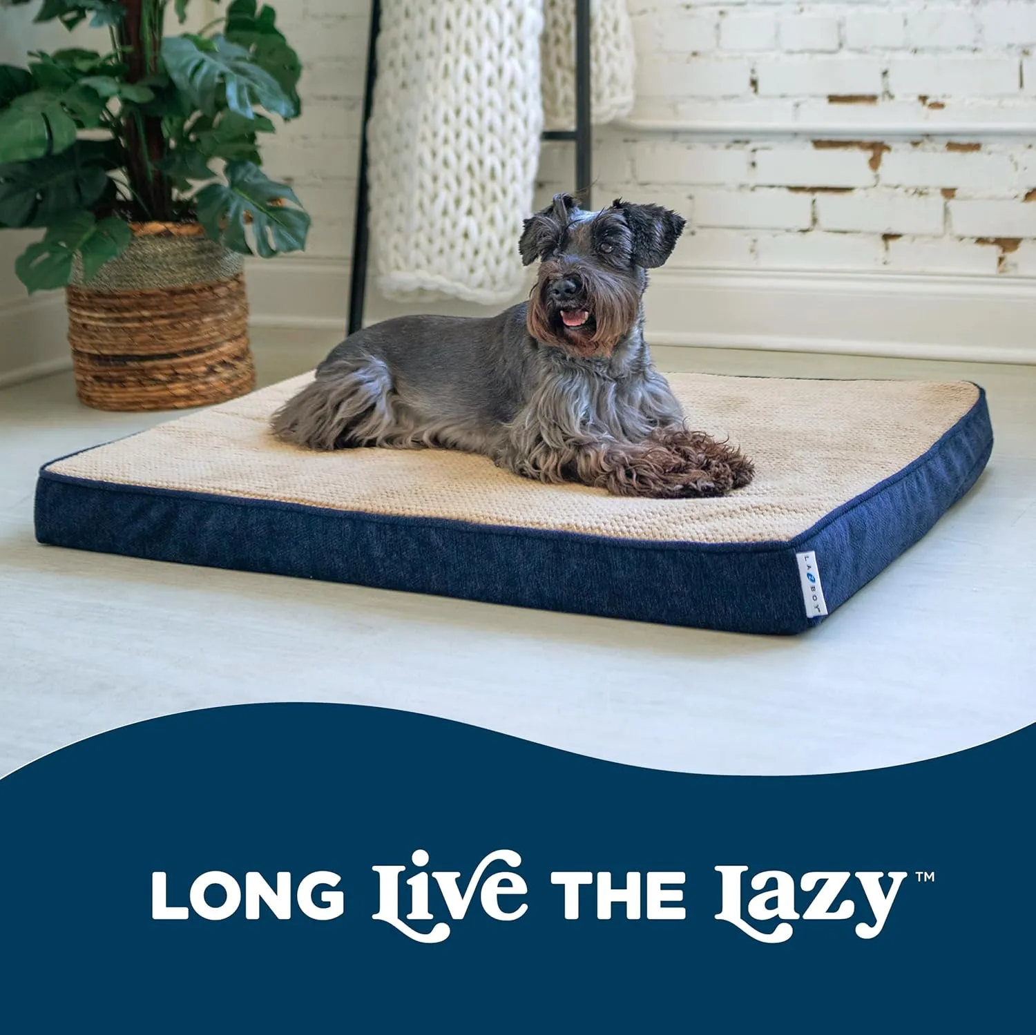 La-Z-Boy Petmate Bentley Orthopedic Foam Large Dog Bed Midnight Blue (36 x 28 x 3 inches) for Dogs up to 50lbs with Supportive Foam Durable Removable Washable Cover