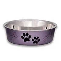 Loving Pets Bella Bowls Grape Pet Bowl