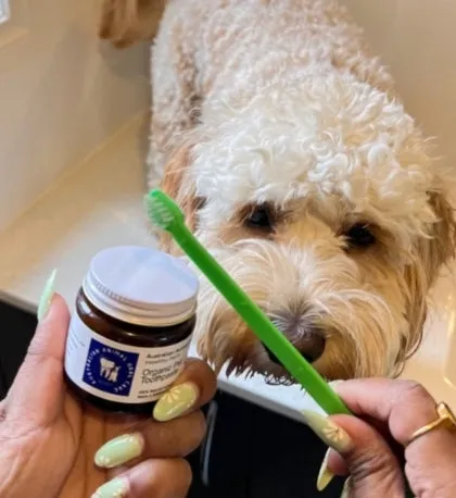 Organic Pet Toothpaste
