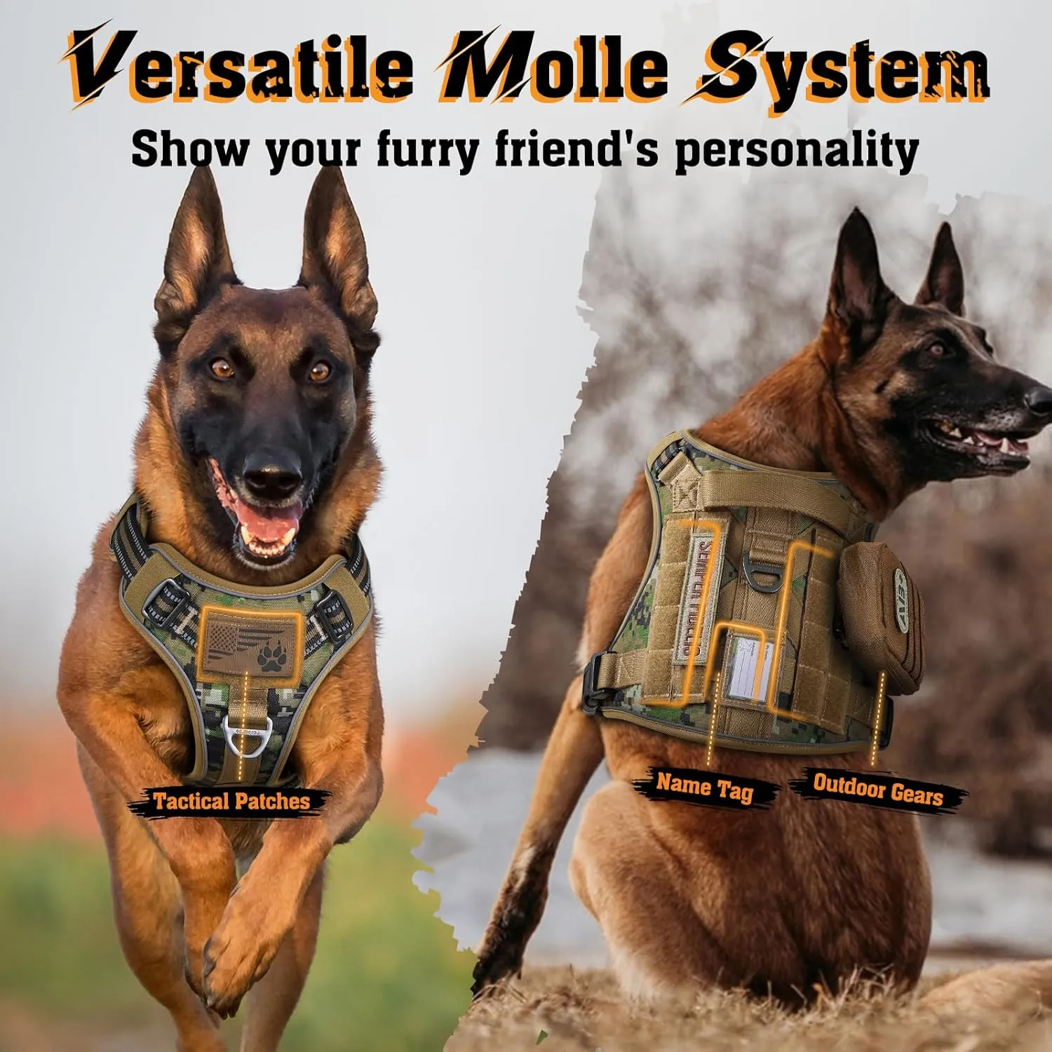 Rabbitgoo ,,, Molle ,,,,L 