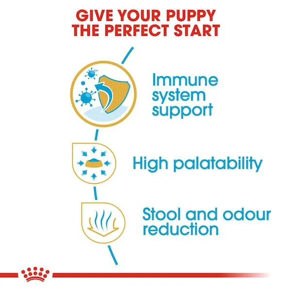 Royal Canin Chihuahua Puppy Dry Dog Food, 2.5lb