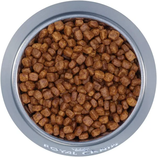 Royal Canin Chihuahua Puppy Dry Dog Food, 2.5lb