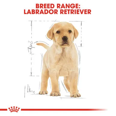 Royal Canin Labrador Retriever Large Puppy Dry Dog Food