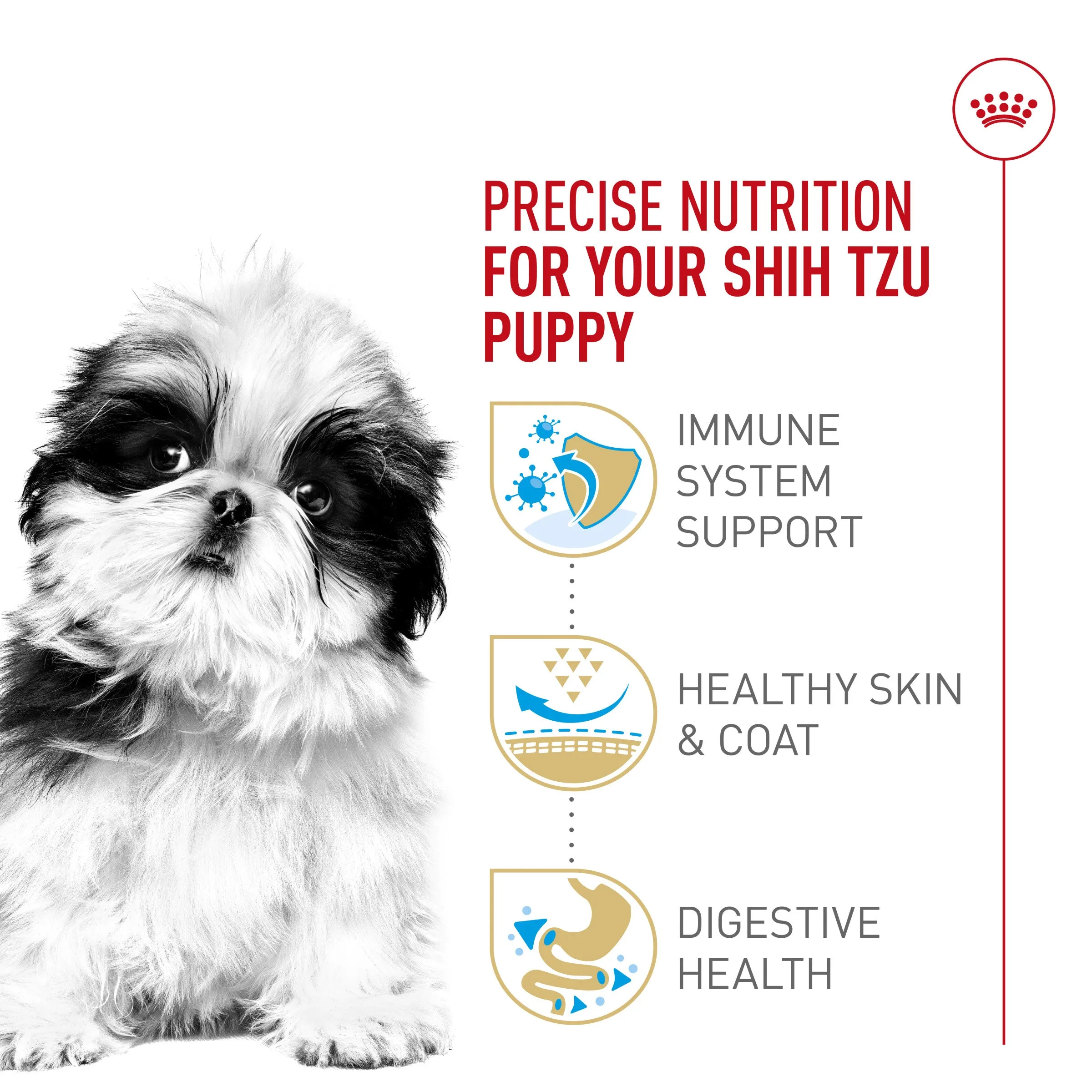 Royal Canin Shih Tzu Puppy Food