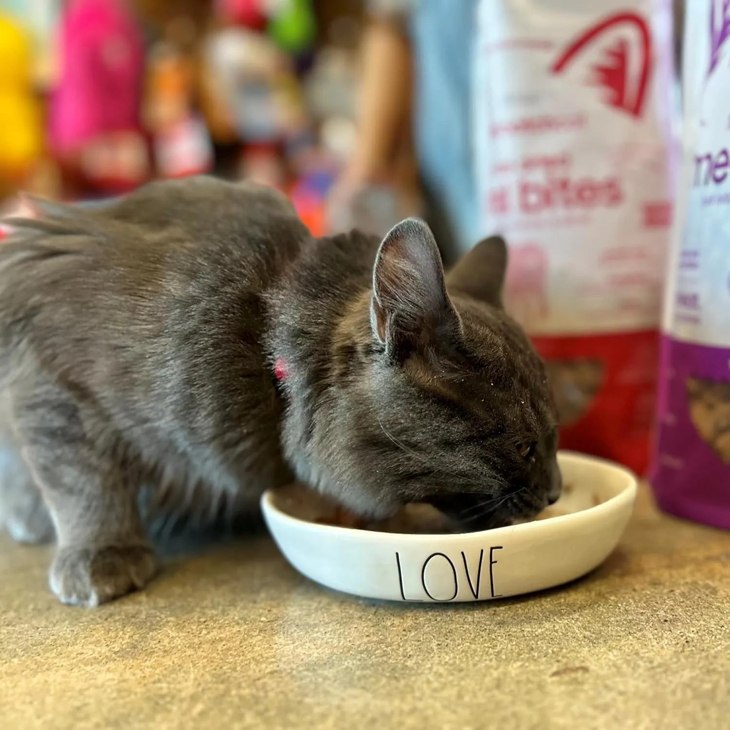 smallbatch Pets Cat Freeze Dried Meal Bites, Premium Raw Cat Food, Beef Recipe, 10 oz, Humanely Sourced Meat and Made in The USA