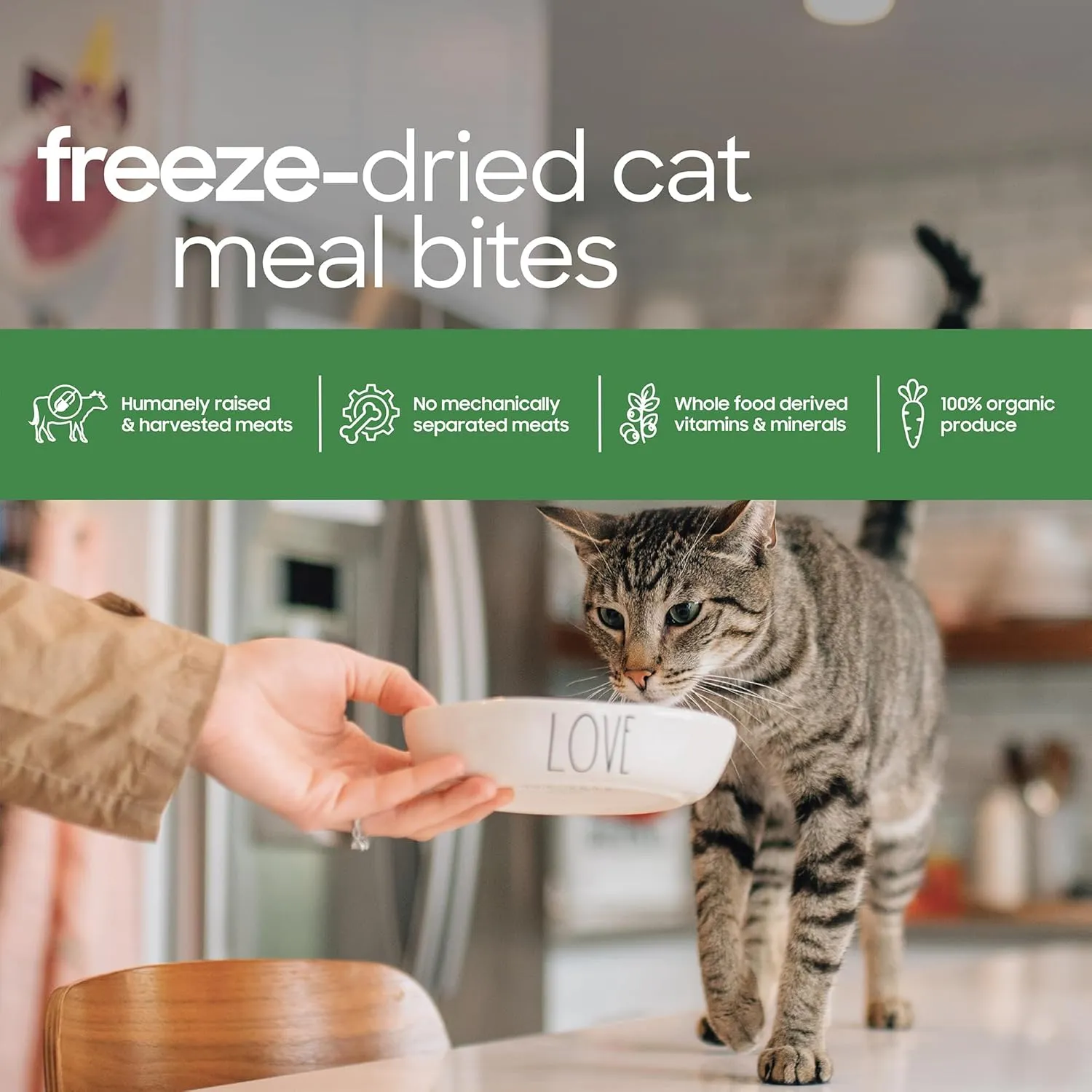 smallbatch Pets Cat Freeze Dried Meal Bites, Premium Raw Cat Food, Chicken Recipe, 10 oz, Humanely Sourced Meat and Made in The USA